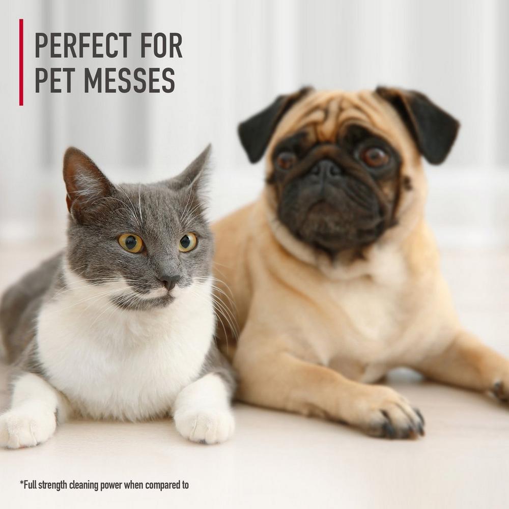 Hoover Enzymatic Pet Spot Cleaner Solution 64 oz - Image 6