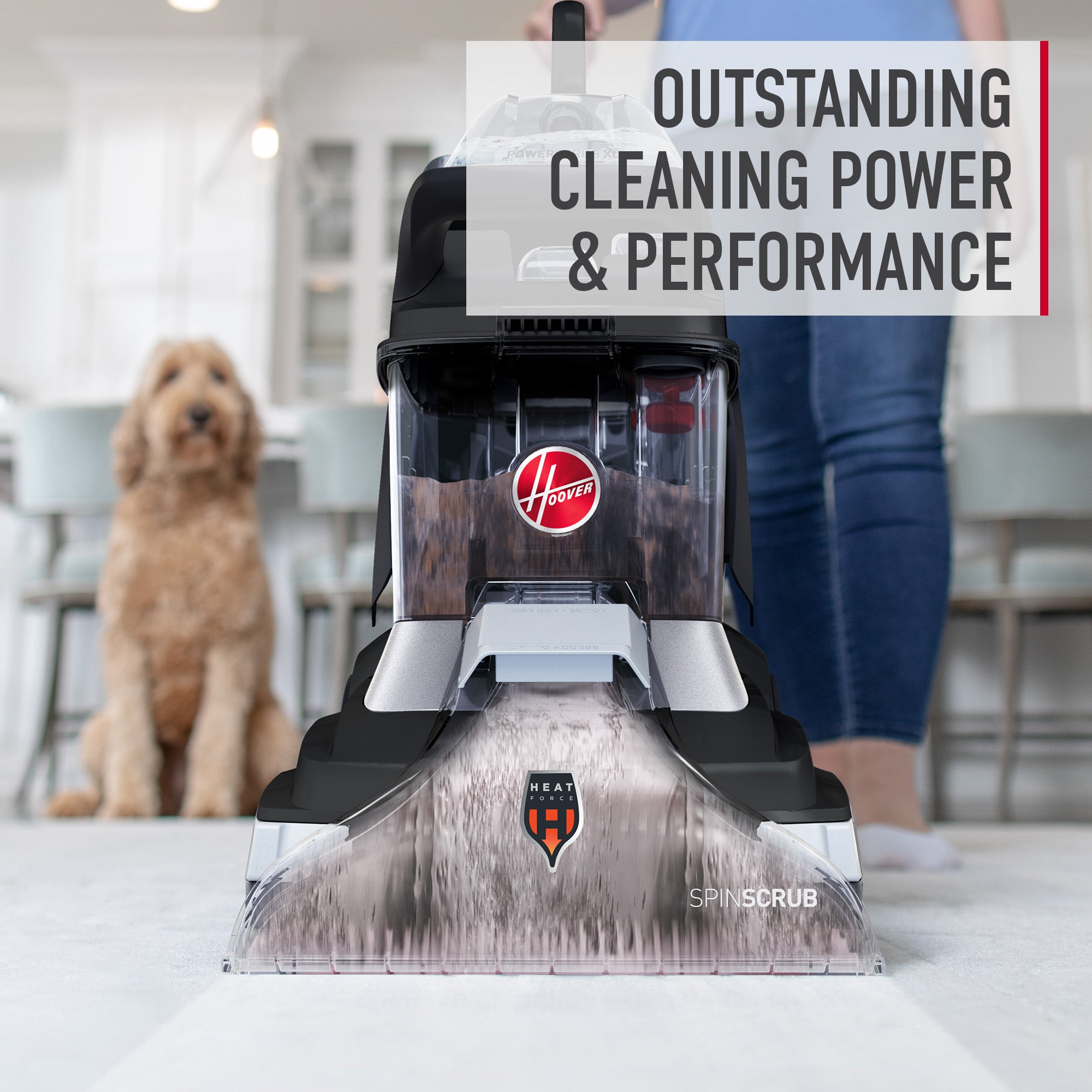 Hoover Enzymatic Pet Carpet Cleaner Solution 128oz - Image 7
